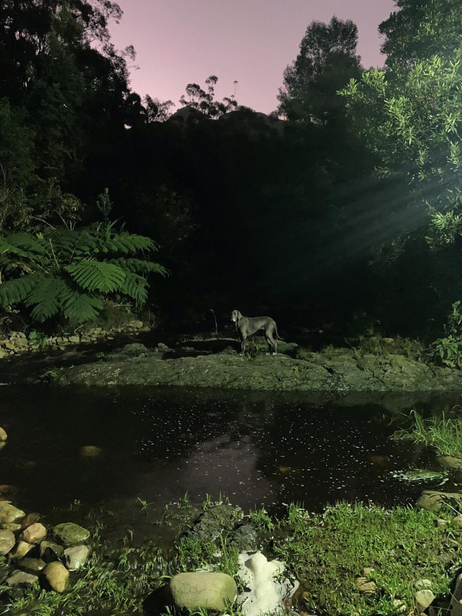 A Riverbed Guesthouse Swellendam Dış mekan fotoğraf