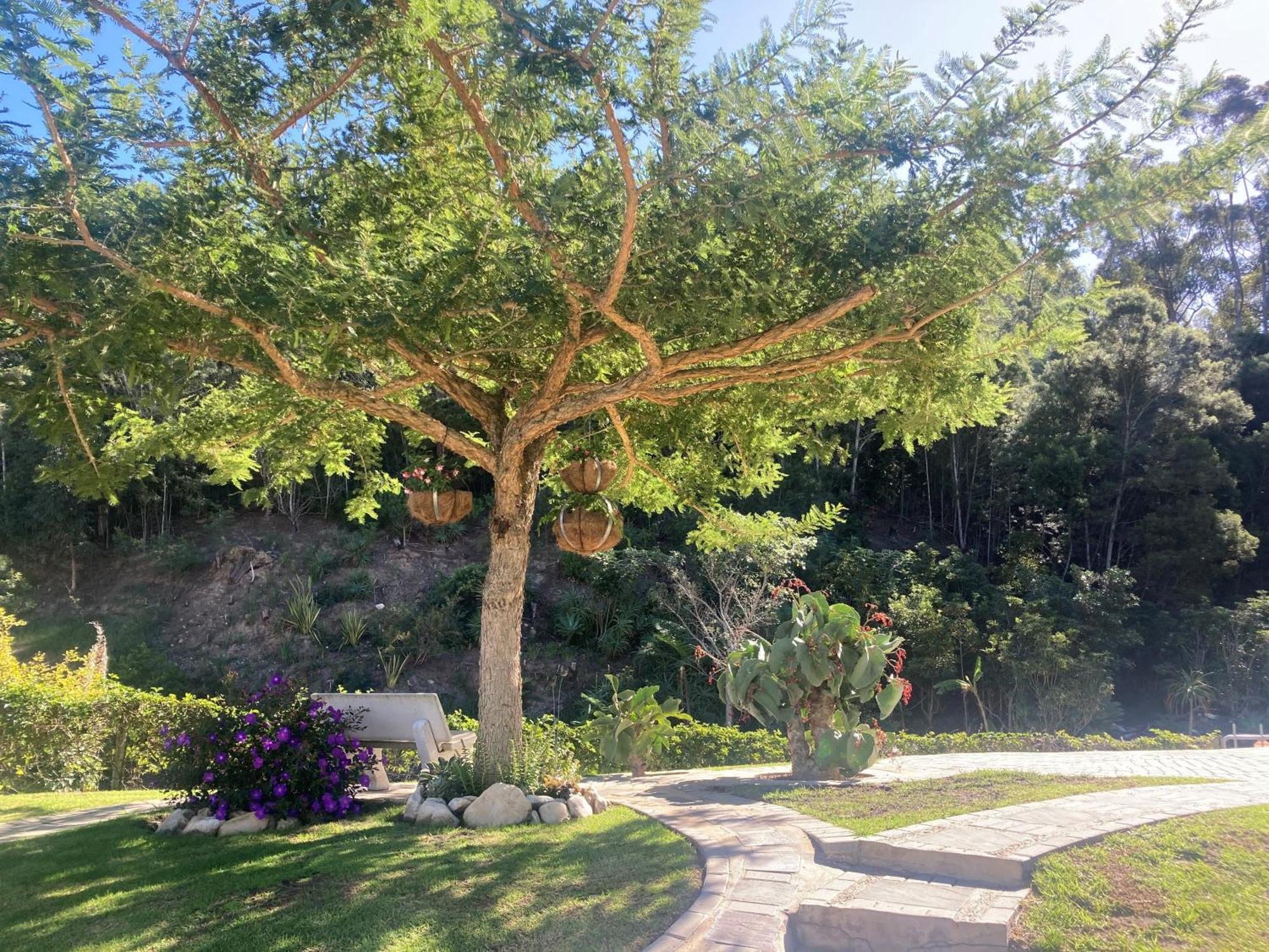 A Riverbed Guesthouse Swellendam Dış mekan fotoğraf