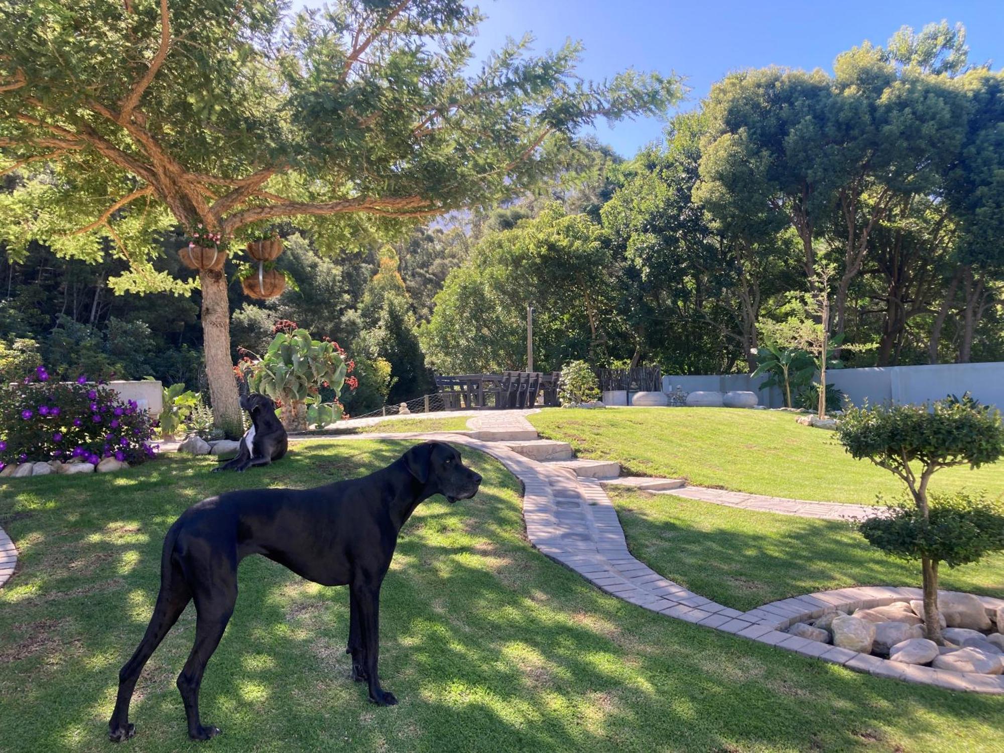 A Riverbed Guesthouse Swellendam Dış mekan fotoğraf