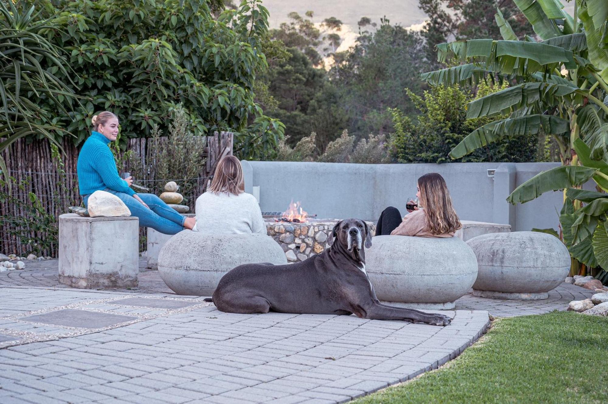 A Riverbed Guesthouse Swellendam Dış mekan fotoğraf